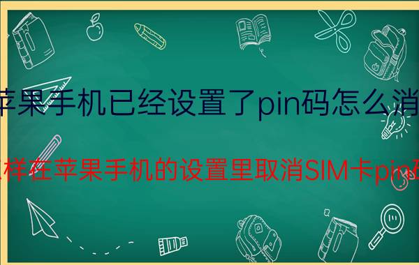 苹果手机已经设置了pin码怎么消除 怎样在苹果手机的设置里取消SIM卡pin码？